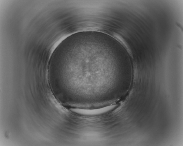 X0000099381340200805221757