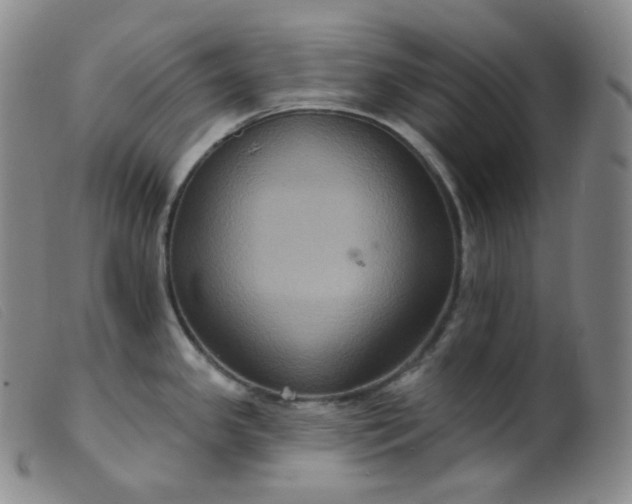 X0000099381341200805221757