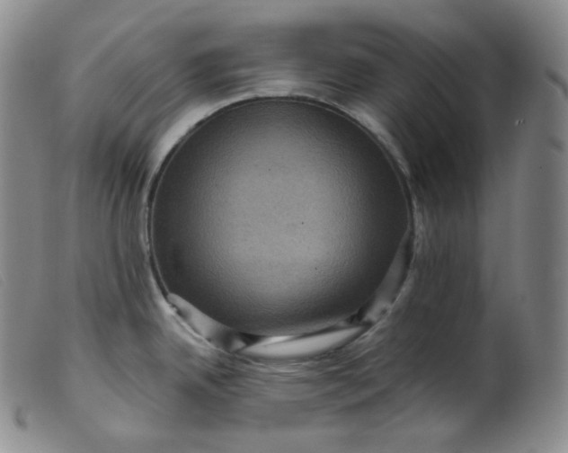 X0000099381342200805221757