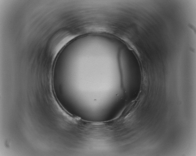 X0000099381343200805221757