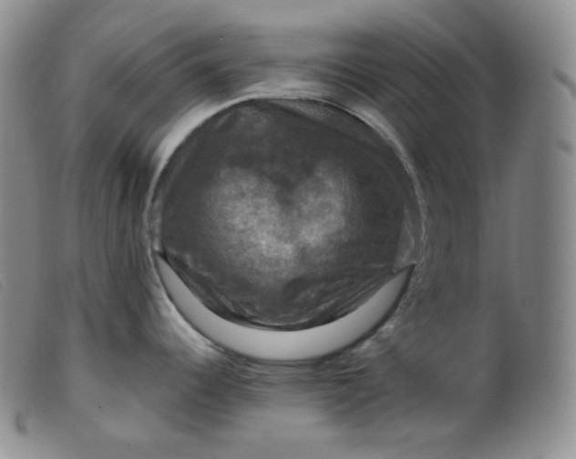 X0000099381344200805221757