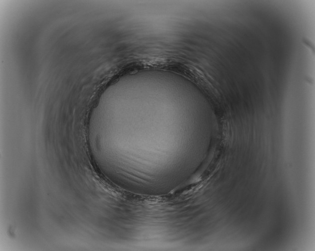 X0000099381345200805221756