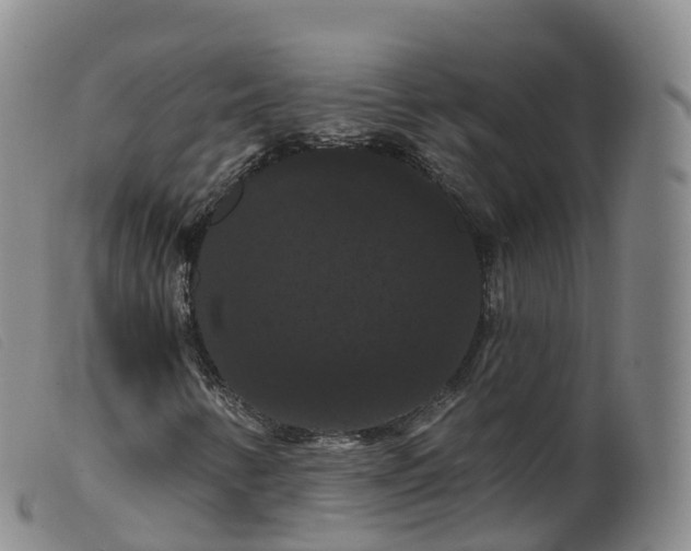 X0000099381346200805221756