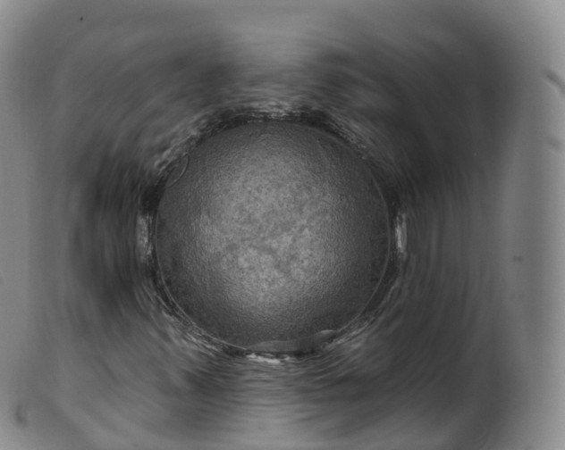 X0000099381347200805221756