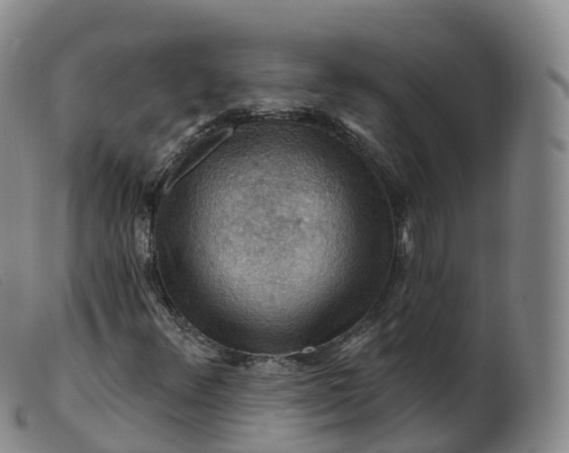 X0000099381348200805221756