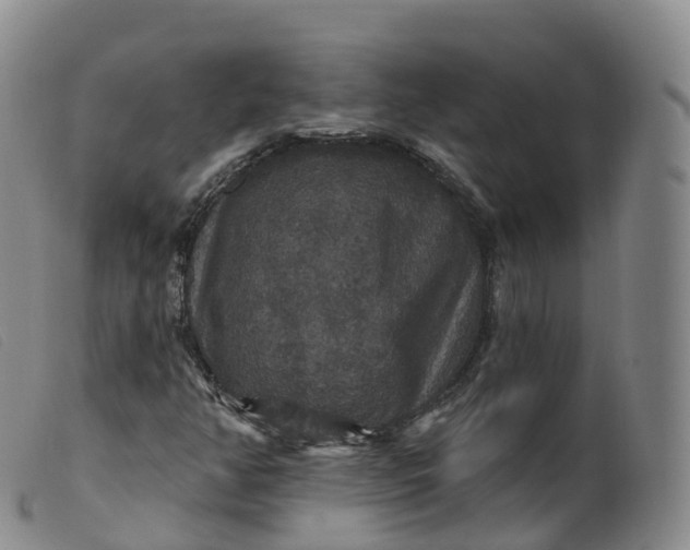 X0000099381350200805221756