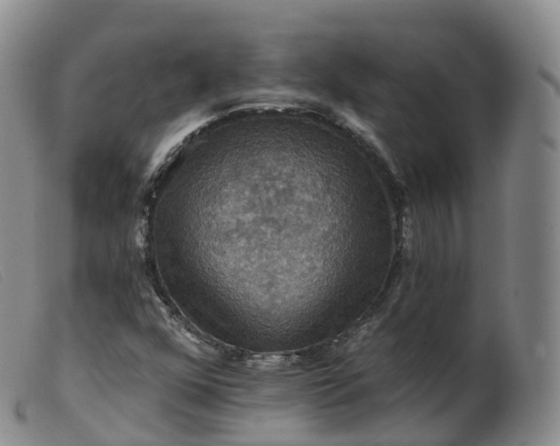 X0000099381352200805221756