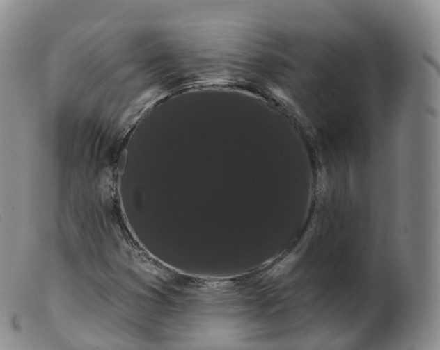 X0000099381353200805221756