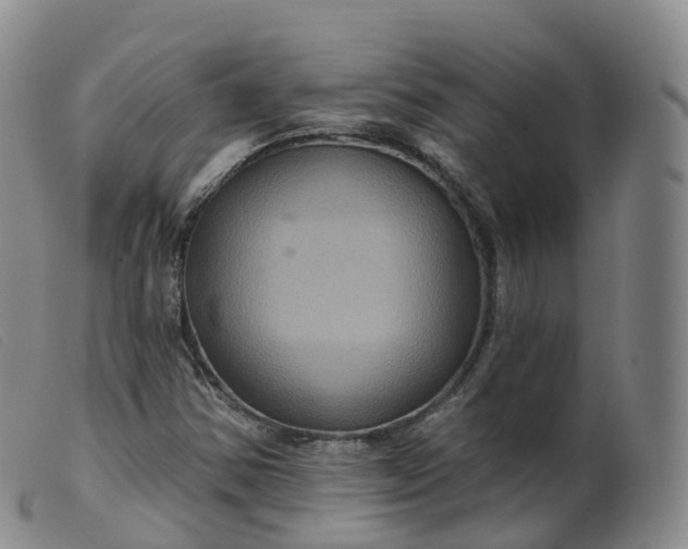 X0000099381354200805221756