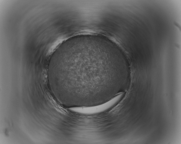 X0000099381355200805221755