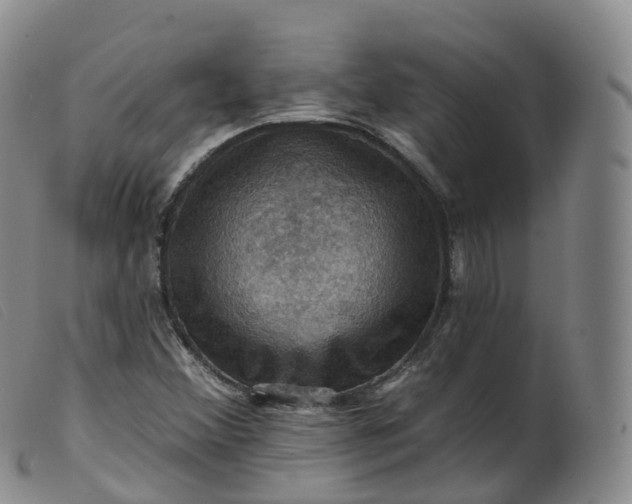 X0000099381356200805221755