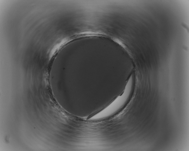 X0000099381357200805221755