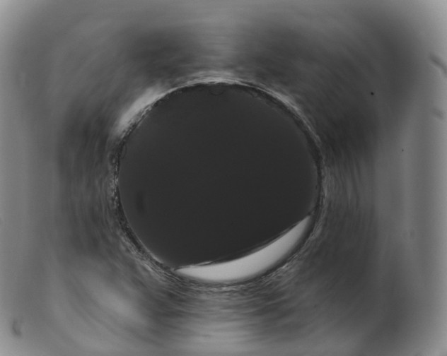 X0000099381359200805221755