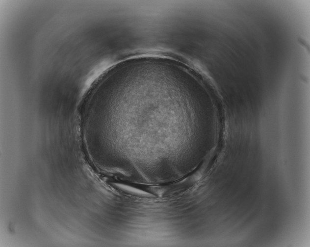 X0000099381360200805221755