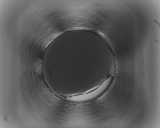 X0000099381361200805221755