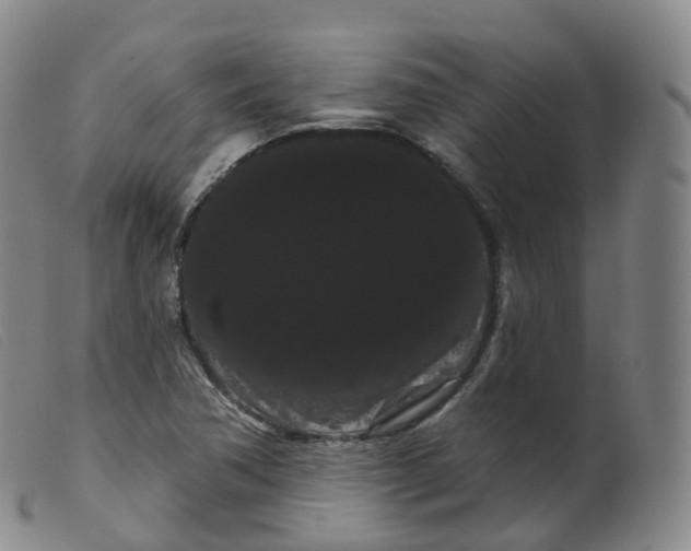 X0000099381362200805221755