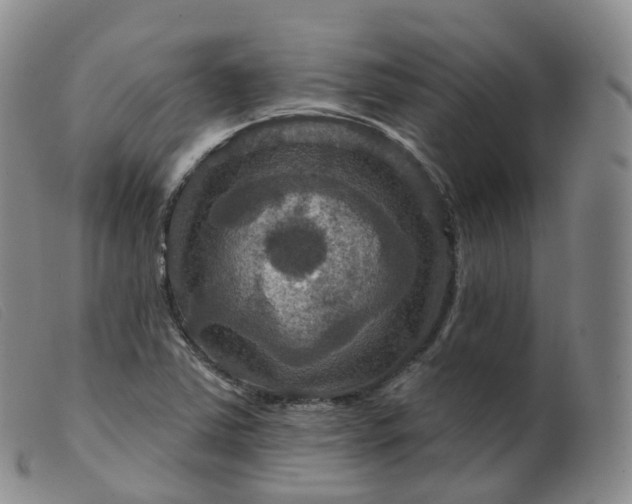 X0000099381363200805221755