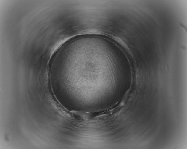 X0000099381364200805221755