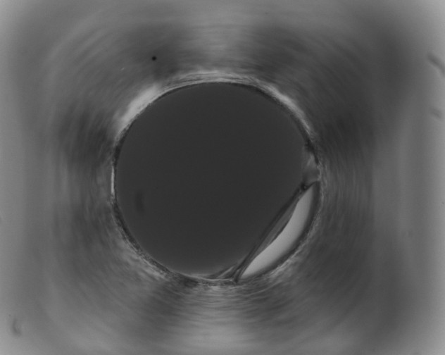 X0000099381365200805221755