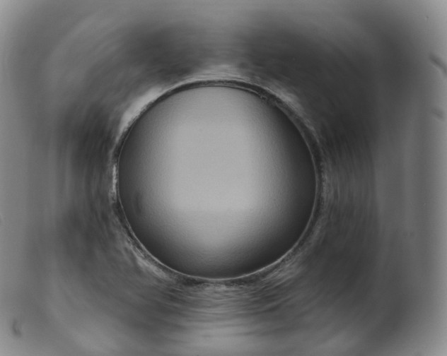 X0000099381366200805221755