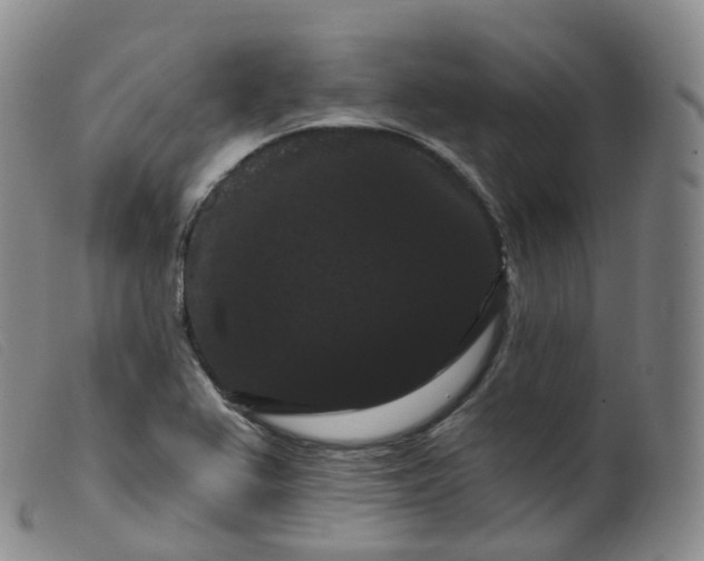 X0000099381367200805221755