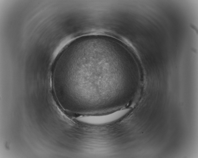 X0000099381368200805221755