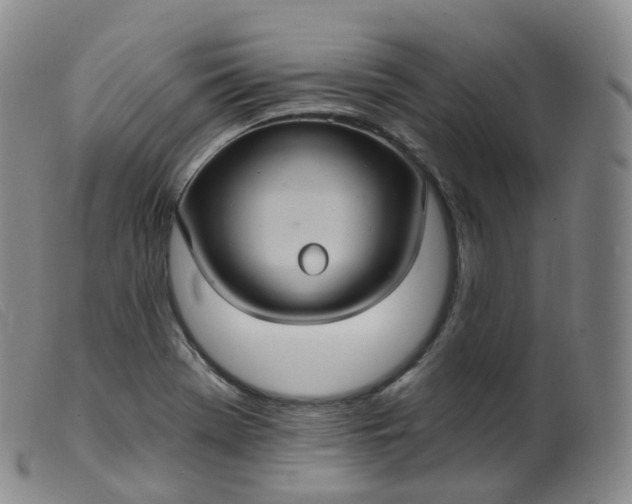 X0000099381369200805221755