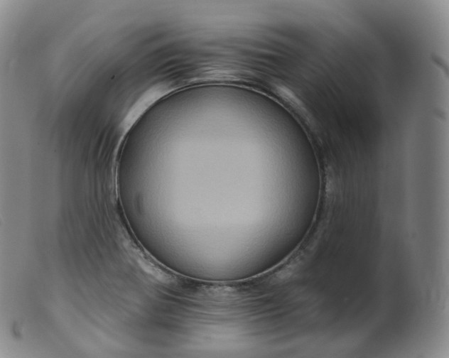 X0000099381370200805221755