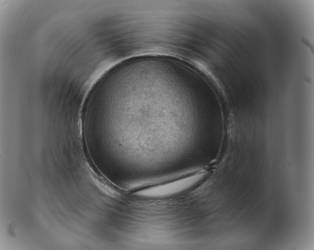 X0000099381372200805221755