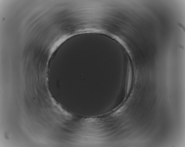 X0000099381373200805221755