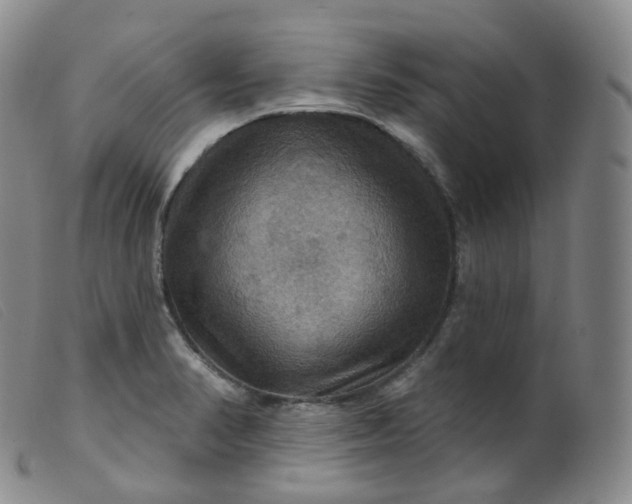 X0000099381374200805221755