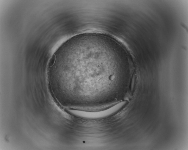 X0000099381375200805221755