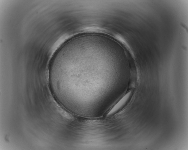 X0000099381376200805221755