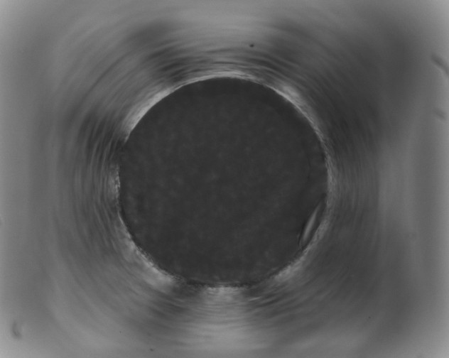 X0000099381377200805221755