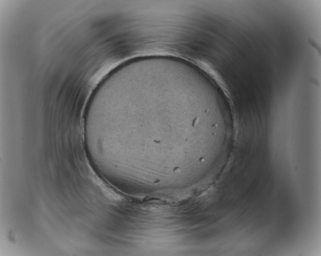 X0000099381380200805221755