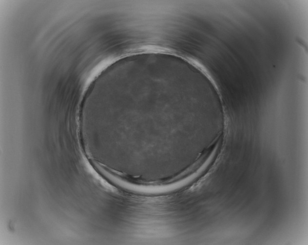 X0000099381381200805221755