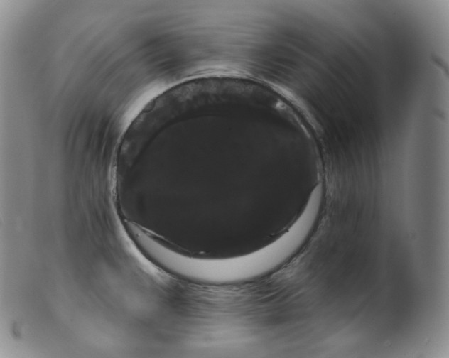 X0000099381383200805221755