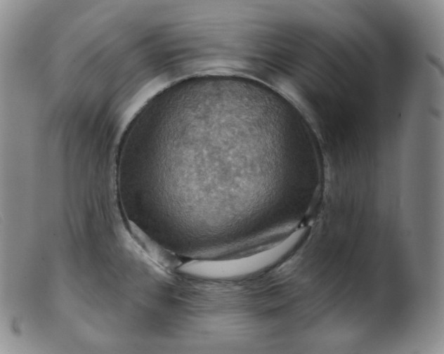 X0000099381384200805221755