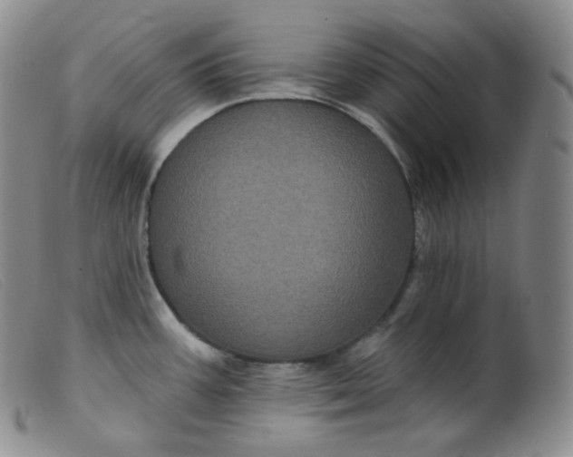 X0000099381387200805221755