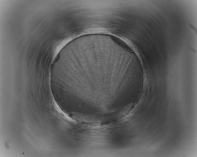 X0000099381390200805221755