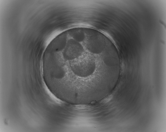 X0000099381391200805221755