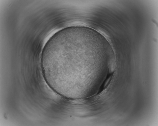 X0000099381392200805221755