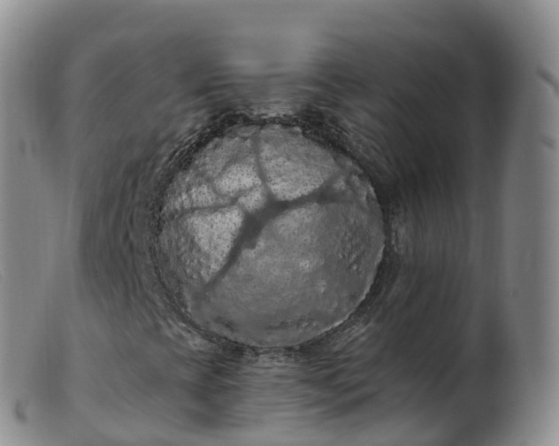 X0000099381393200805221754