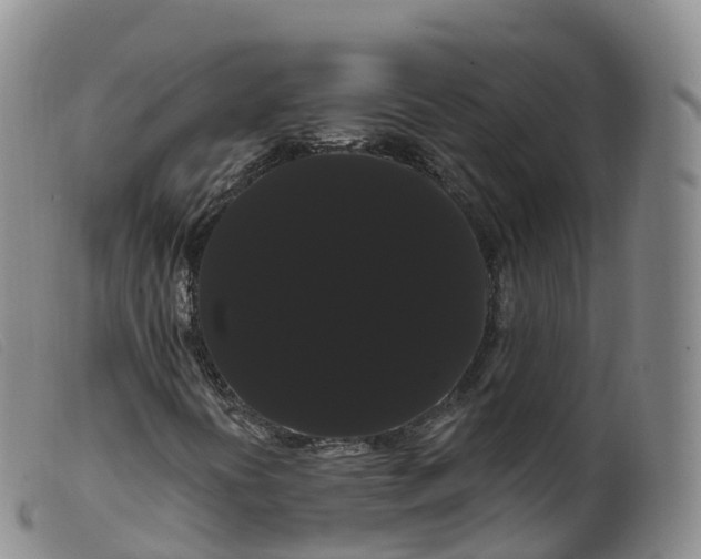 X0000099381394200805221754