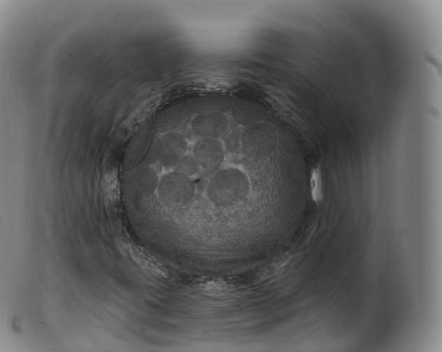 X0000099381395200805221754