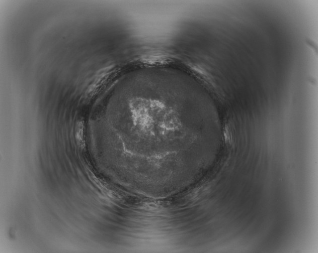 X0000099381396200805221754