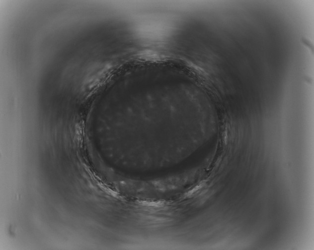 X0000099381397200805221754