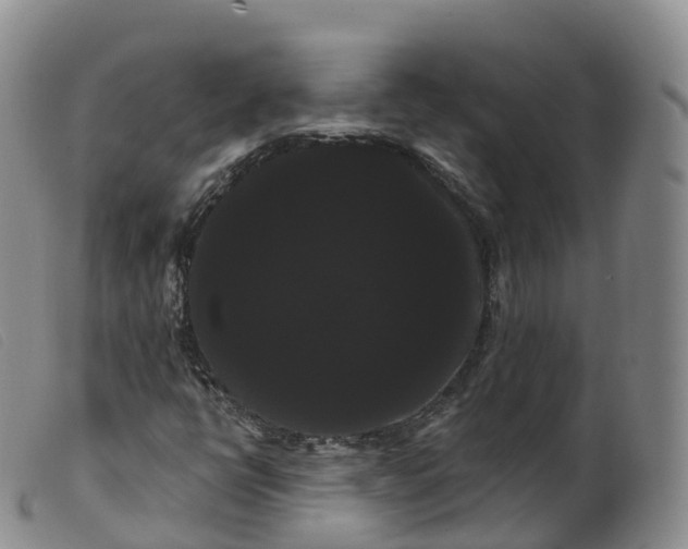 X0000099381398200805221754