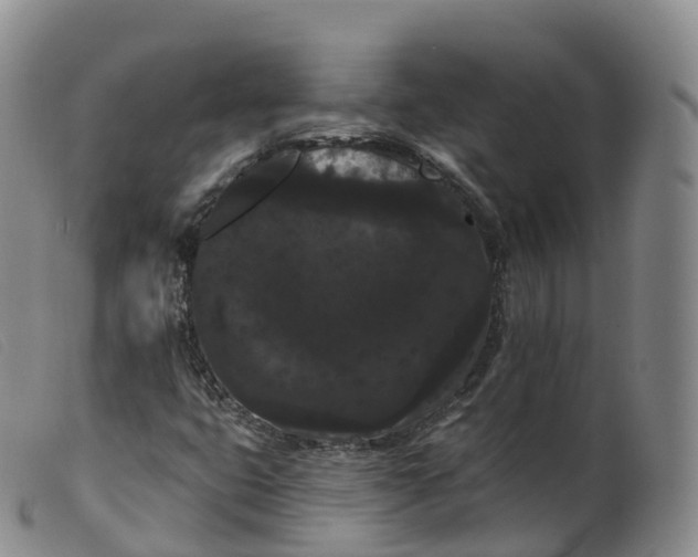 X0000099381399200805221754