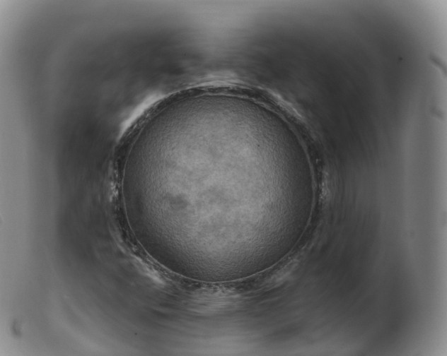 X0000099381400200805221754